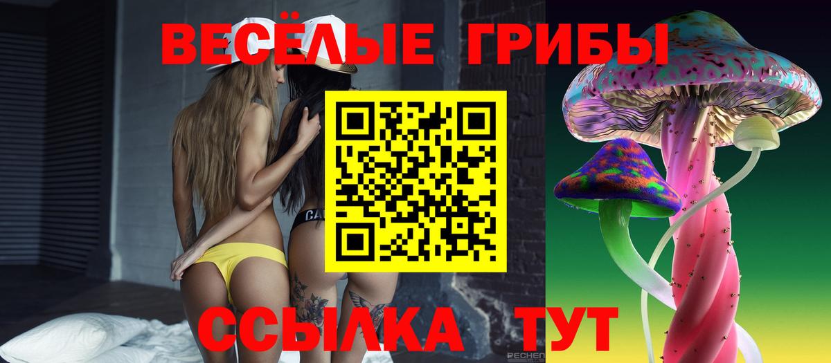 Псилоцибиновые грибы GOLDEN TEACHER  Вход с VPN  наркота  Туапсе 