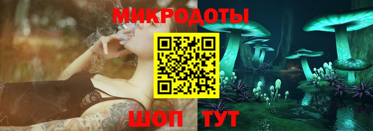 Галлюциногенные грибы Psilocybine cubensis Туапсе